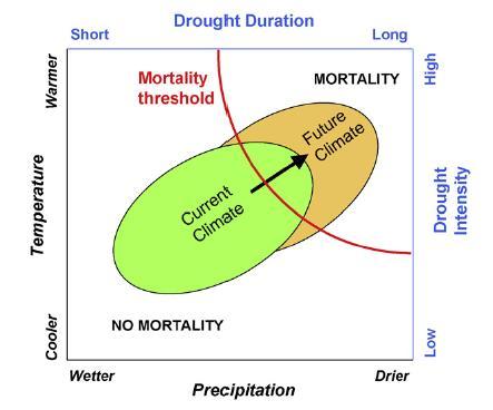 As restrições hídricas e a mortalidade As restrições hídricas são o principal fator limitante da produtividade e sobrevivência das árvores a nivel global (Engelbrecht 2012, Nature) MORTALIDADE das
