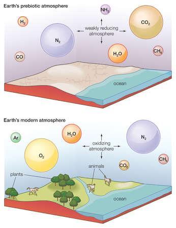 edu/~imamura/121/images/earth -evolution-atmocompo.