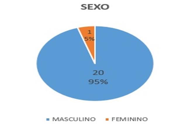 Figura 1- Sexo dos beneficiários do PRONAF A, Assentamento Boa Sorte II, Axixá do Tocantins-2017. Fonte: Sousa,2017.