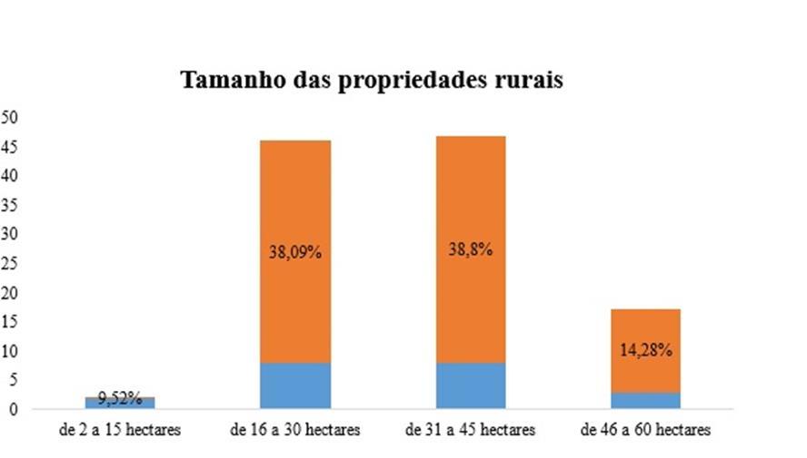 Na Figura 2, mostra que a maioria das propriedades está entre 16 a 45 hectares, sendo que 38,09 responderam entre 16 a 30 hectares e 38,8 % entre 31 a 45 hectares e 14,28% de 46 a 60 ha.
