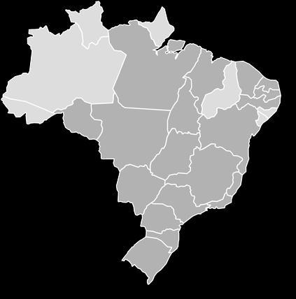 5 GOVERNANÇA CORPORATIVA Governança Corporativa modelo Minas Gerais,