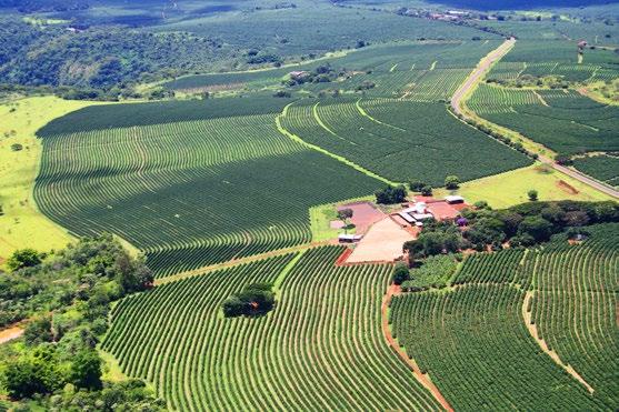 internacionais em sustentabilidade social e ambiental, e reafirma