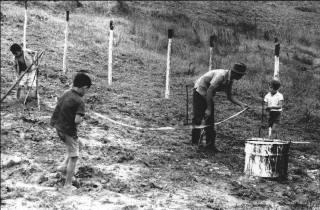 56 O OLHAR DE UM HOMEM DO CAMPO.