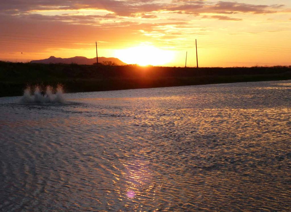 Acqua Imagem Serviços em Aquicultura fernando@acquaimagem.com.