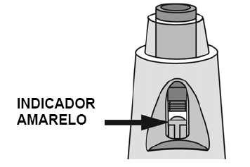 Etapa 4: Verificar a janela de visualização Após a aplicação, verificar a janela de visualização para se certificar de que o indicador amarelo está visível.