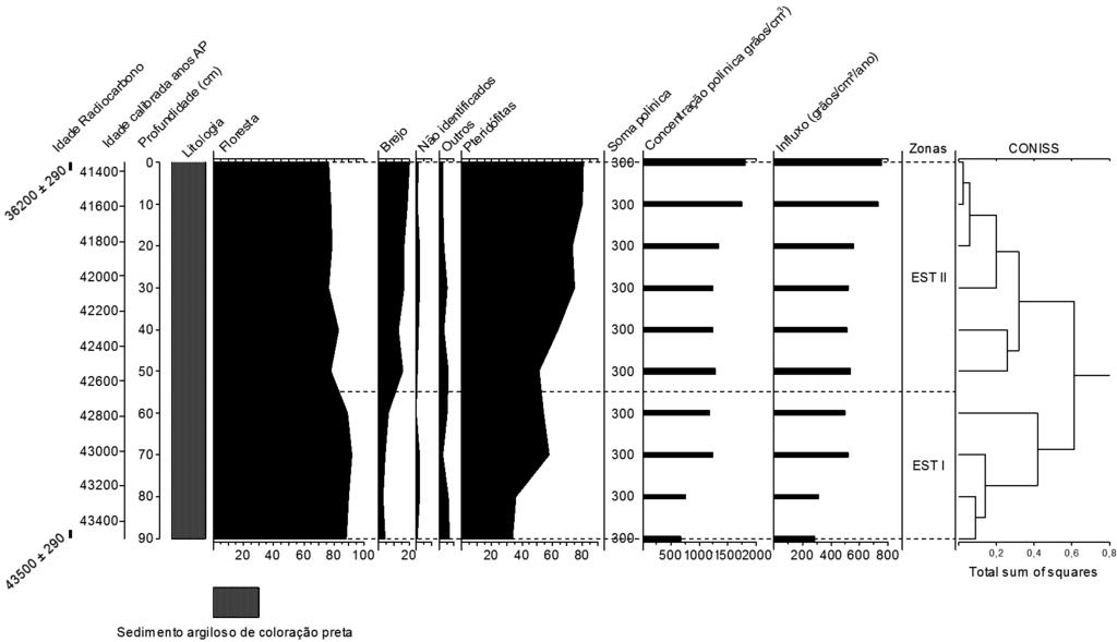 A análise de cluster baseada na ocorrência dos palinomorfos de ambiente terrestre permitiu reconhecer duas zonas palinológicas: EST I e EST II. A Zona EST I (90 60 cm; 43.500 42.800 cal. anos A.P.
