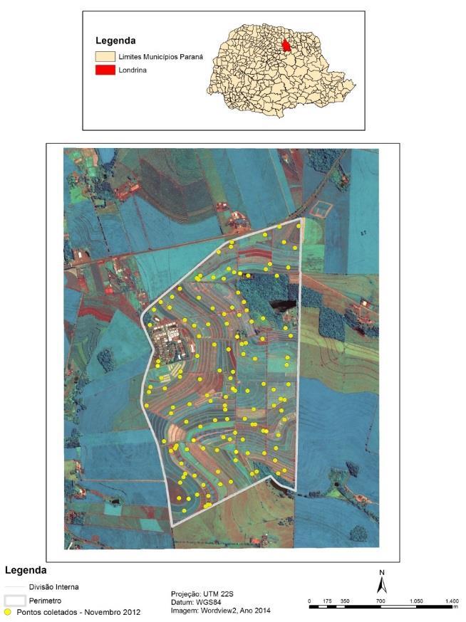 A análise conjunta da geoestatística e ACP contribui na interpretação de parâmetros de solo, com a finalidade de reduzir as variáveis envolvidas e confeccionar mapas de aplicação diferenciada de