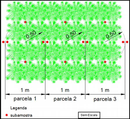 Para a coleta de dados (análises químicas do solo e produtividade da cultura) foram amostrados 10 blocos na área experimental (Figura 1), cada qual com 20 metros de extensão, divididos em parcelas de