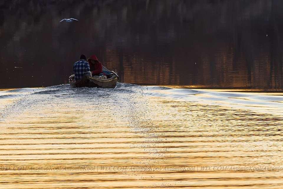 Portefólio Fotográfico