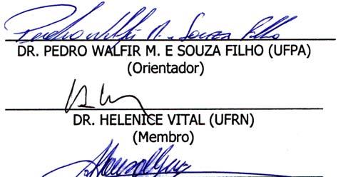 Universidade Federal do Pará Instituto de Geociências Programa de Pós-Graduação em Geologia e