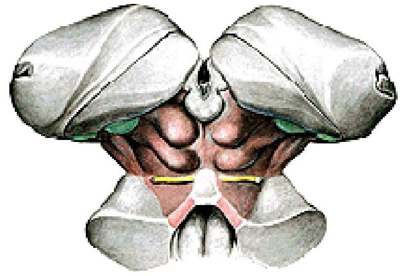 pag 231 fig 23.