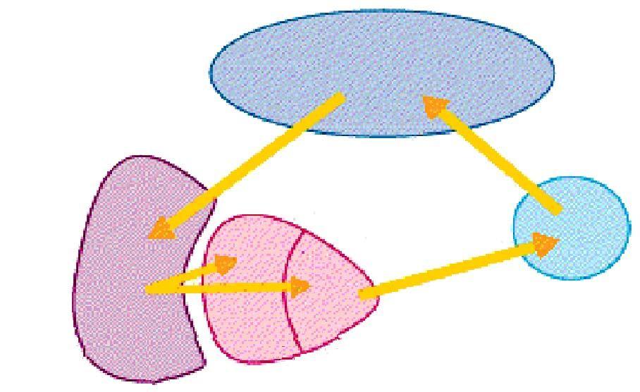 GRUPO LATERAL núcleo ventral anterior: globo pálido tálamo córtex cerebral FUNÇÃO: motricidade somática via extra-piramidal núcleo ventral lateral núcleo ventral póstero-lateral núcleo