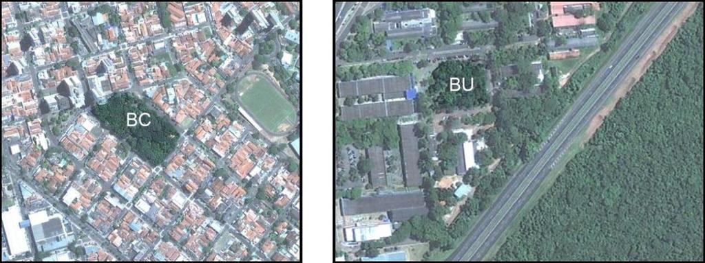 Isso pode ser atribuído ao fato dos usuários do campus serem mais familiarizados com o espaço, além de grande parte ter um nível de escolaridade alto, e, portanto, mais críticos em relação as