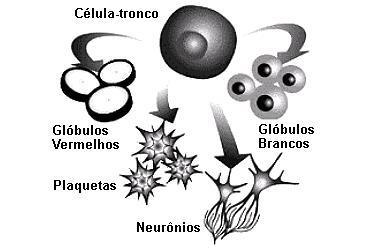 a) apenas I, II e III. b) apenas I, II e IV. c) apenas II, III e IV. d) apenas III e IV. e) I, II, III e IV. 10.