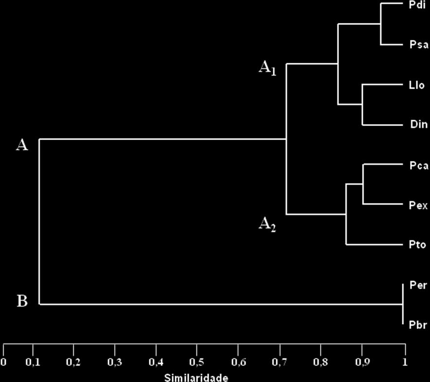 ANÁLISE DE SIMILARIDADE O dendrograma de agrupamento das espécies obtidas no primeiro período de coleta indica a formação de dois principais grupos (A e B) com menos de 20% de similaridade.