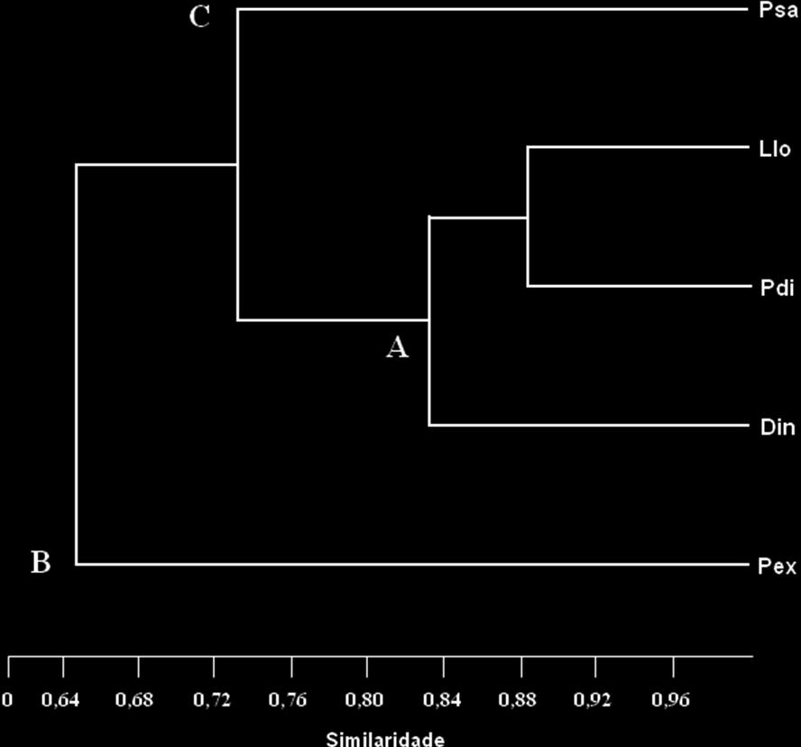 Diferente do primeiro período, P. sayana apresentou baixa abundância (n=6) e ocorrência relativa (OR=0,17), sendo agrupada em C (Figura 15). Com exceção de P.