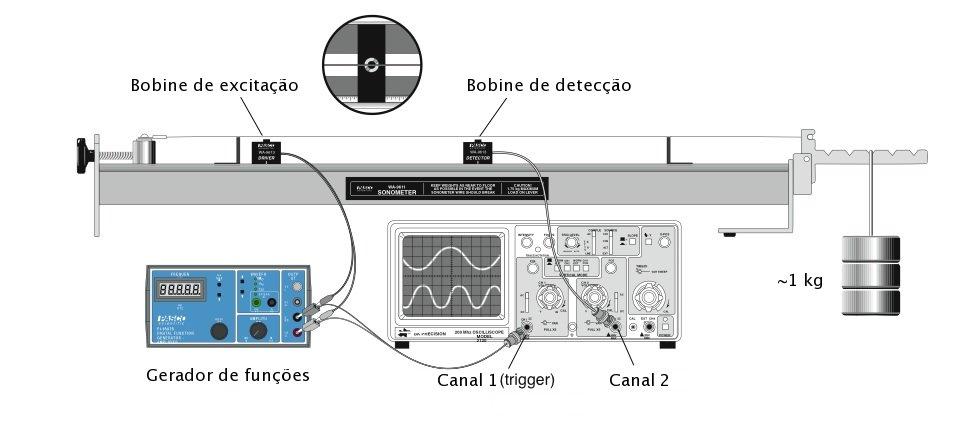 . Trabalho experimental Equipamento 1 base: inclui uma escala graduada, um aparelho de força constituído por um braço e um parafuso de ajuste da tensão na corda suportes 1 corda de guitarra bobinas: