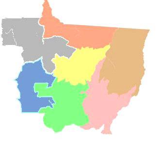 Noroeste 5.650 ha 0,8% Oeste 175.500ha 26,1% Centro Sul 52.348 ha 7,8 % Médio Norte 130.031 ha 19,4% Sudeste 306.096 ha 45,6% Nordeste 1.