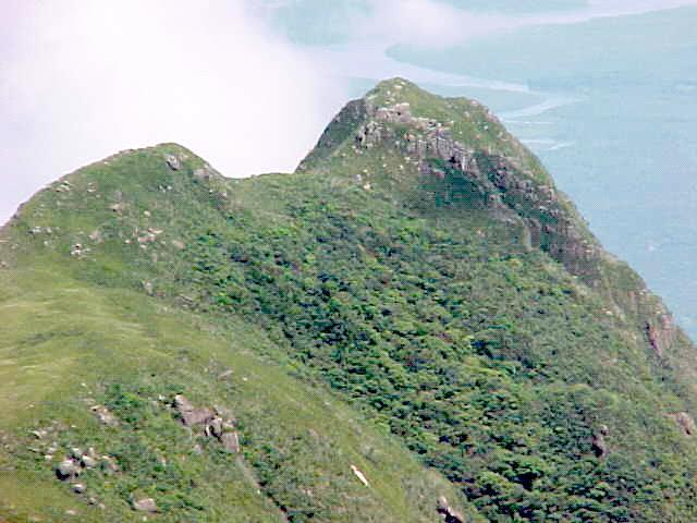 TRECHO DE UM GRADIENTE DE FLORESTA