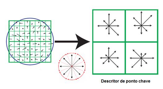 58 Uma vez efetuada a suavização dos gradientes, o descritor consiste de um vetor contendo os valores do histograma. No exemplo da Figura 4.