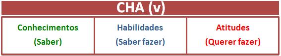 Assim, para avaliar a competência de alguém, temos de examinar: 1. Capacidades: o profissional tem os conhecimentos, habilidades, atitudes e valores necessários para agregar valor? 2.