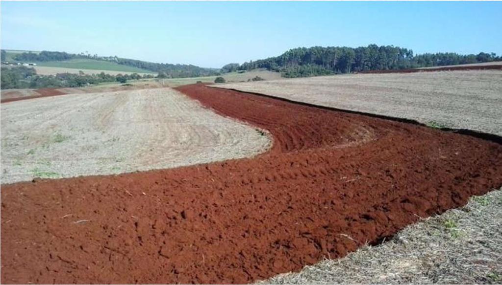 Terceiro Planalto Planalto de Guarapuava Destaca-se pela formação na Era Mesozoica e sua constituição baseada em rochas ígneas eruptivas, em maioria basalto. Formando assim, a conhecida terra roxa.