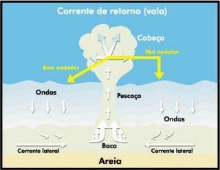 CADEIA DE SOBREVIVÊNCIA