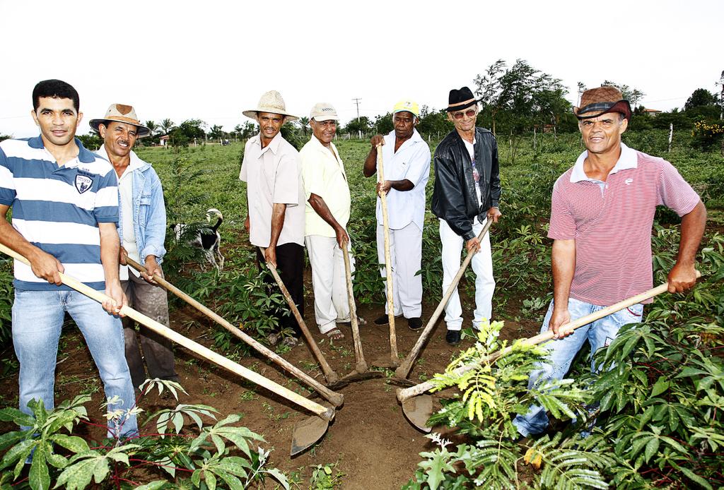 Agricultores da comunidade