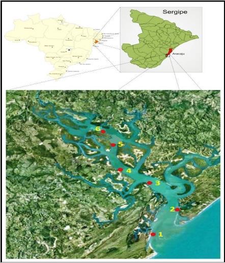 10 3 - METODOLOGIA 3.1 - ÁREA DE ESTUDO A área de estudo abrange cerca de 20 quilômetros desde a foz do rio Vaza- Barris até a região mais interna do estuário.