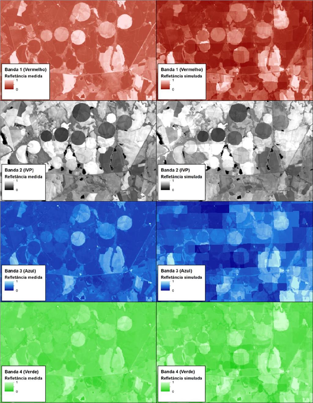 115 dos dados, as bandas espectrais simuladas subestimaram os valores das bandas medidos, para os dois produtos MODIS e nos dois anos de estudo.