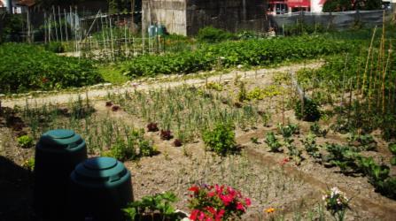 O Horta à Porta é um projeto que disponibiliza espaços verdes dinâmicos e úteis aos cidadãos, promovendo a biodiversidade e boas práticas agrícolas, através da compostagem caseira e segundo os