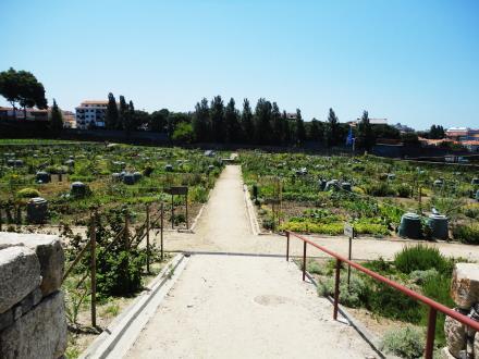 O QUE FOI FEITO: Integração da Horta do Parque José Avides numa Tese de Mestrado da Universidade católica Portugesa Hortas Públicas, Biológicas e Urbanas: Que Efeito nos Comportamentos de Saúde, na