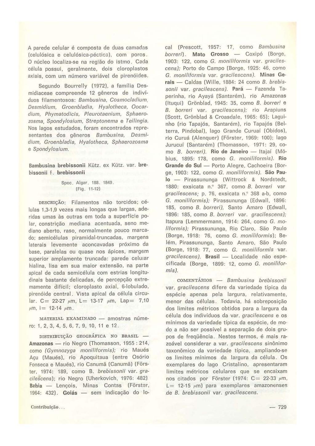 A parede celular é composta de duas camadas (celulósica e celulósica-péctica). com poros. O núcleo localiza-se na região do istmo.