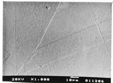 42 (a) (b) (c) Figura 7 - Micrografias eletrônicas de varredura obtidas para a liga Cu-7%Al-4%Ag (a) inicialmente submetida à têmpera