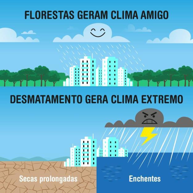 permeabilidade do solo 2018 Proporciona sombra e economiza recursos