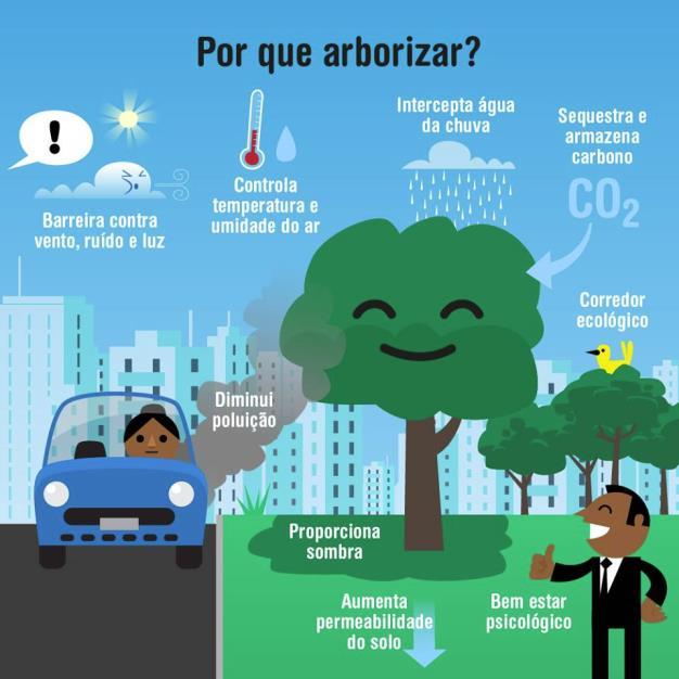 Apesar de todos esses benefícios, observa-se um constante desrespeito à Arborização Urbana, demonstrada através das inúmeras podas drásticas, maus tratos como o anelamento, utilização como suporte