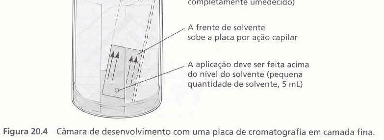 Cromatografia em