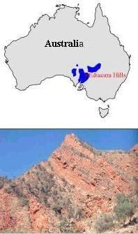 A FAUNA DE EDIACARA - região da Austrália - mais