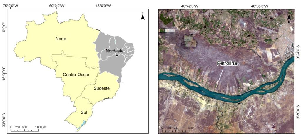 Figura 1 Localização da área de estudo, Petrolina-PE, às margens do Rio São Francisco.