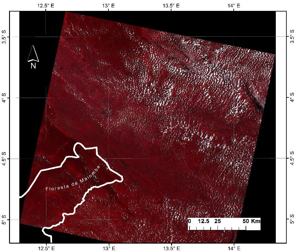 (b3) Resolução espacial: 30 m Bandas: G (b2); R
