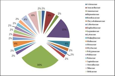Figura 3. Percentagem de espécies identificadas por família. Vários trabalhos citam à família Fabaceae como sendo a mais frequente do Domínio Cerrado (MENDONÇA et al., 1998; SILVA et al.
