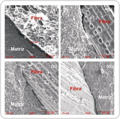 Já em relação aos ensaios de impacto, a Figura 3c evidencia um aumento significativo da resistência ao impacto dos compósitos de resina com fibra de palmito pupunha tratadas com H 2 O 2, que foi de