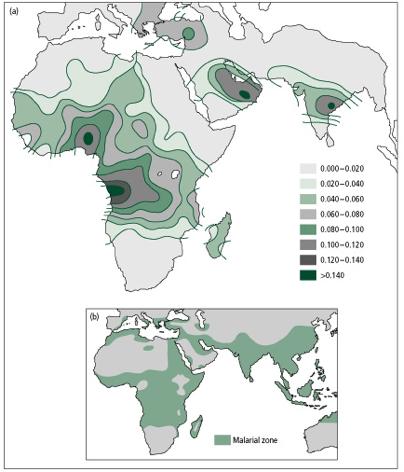 Detectando seleção: distribuição geográfica Valor adaptativo em zonas de malária WAA