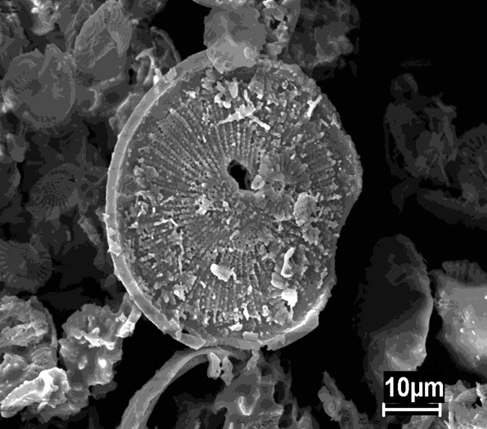 Press, do metacaulim e do diatomito Celite 545. [Figure 2: XRD patterns of the Tube Press kaolin, metakaolin and diatomite Celite 545.