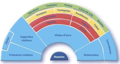 Instrumentos da orquestra e sua posição na orquestra Pedro e o