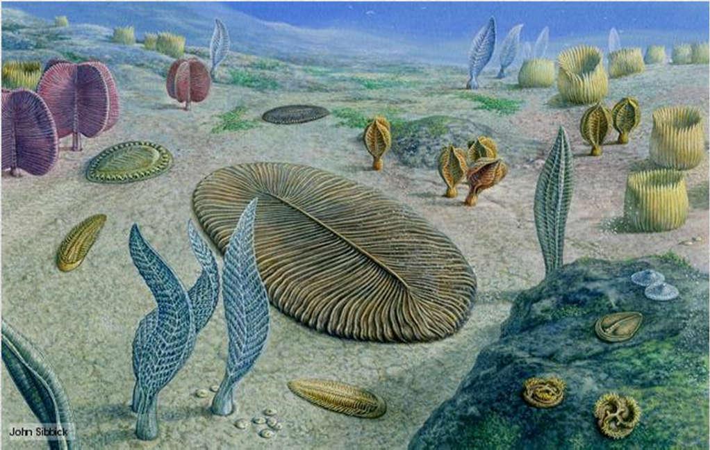 Pré-Cambriano Constituído dos Éons Hadeano, Arqueano e Proterozoico. Proterozóico: 2,5 Bilhões até 543 milhões de anos atrás.