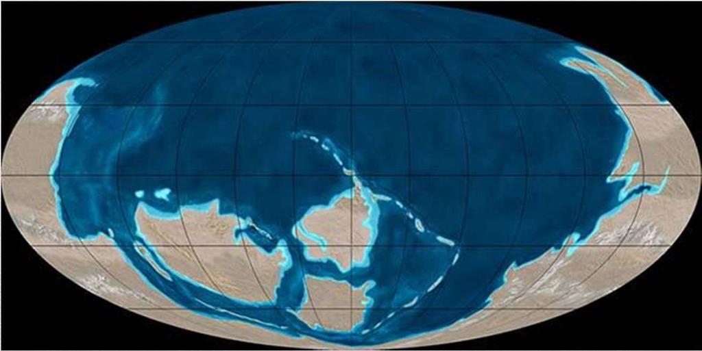 ERA PALEOZÓICA PALEO = antiga + ZOICO = vida 545 a 248 milhões de anos;