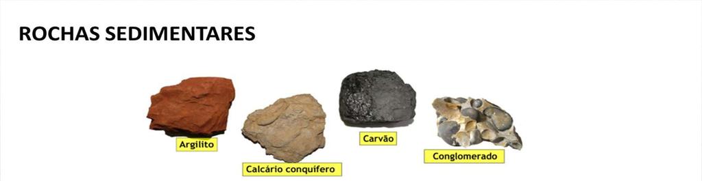 ERA CENOZÓICA As rochas sedimentares predominam durante a Era Cenozóica e mais da