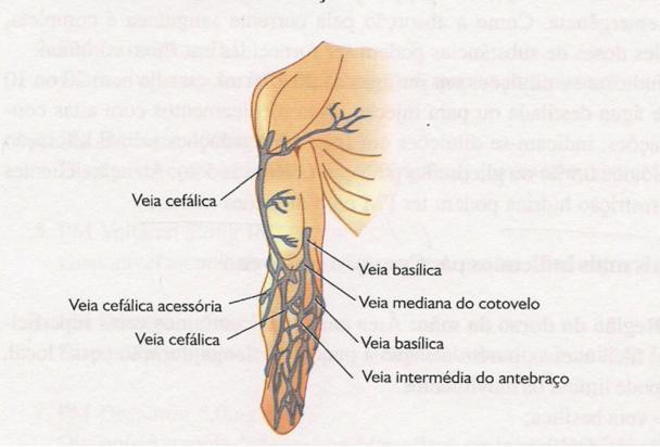 do antebraço em seu terço distal e situa-se na face anterior.