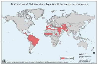 32 Figura 6 - Distribuição mundial da LTA Fonte: OMS (28) Vários autores têm investigado a prevalência da infecção na população canina em diferentes regiões do Brasil.